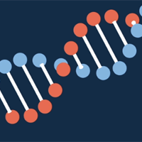 Sinh học 12 Bài 3: Điều hòa biểu hiện gene