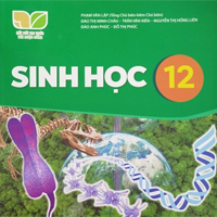 Kế hoạch dạy học môn Sinh học 12 sách Kết nối tri thức với cuộc sống