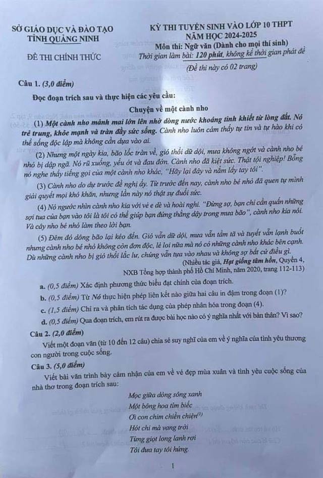 Đề thi vào lớp 10 môn Văn năm 2024 - 2025 Quảng Ninh
