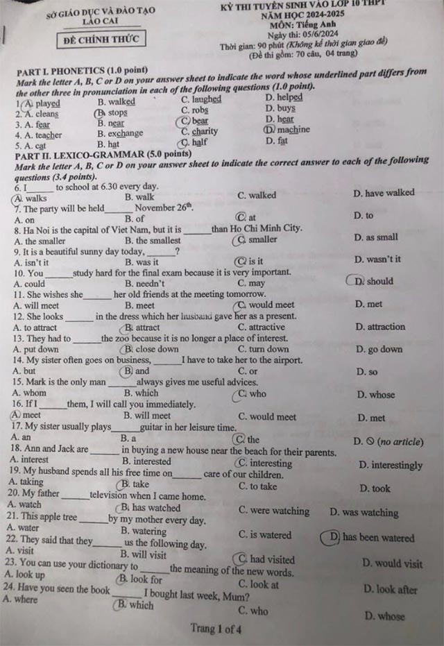 Đề thi vào 10 Anh Lào Cai năm 2024
