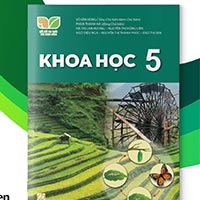 Kế hoạch dạy học môn Khoa học 5 sách Kết nối tri thức với cuộc sống