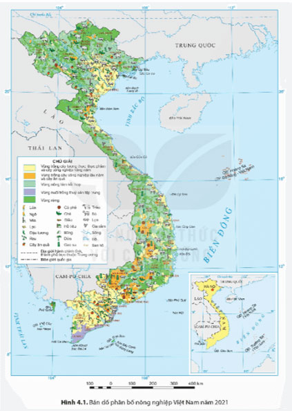 Địa lí 9 Bài 4: Nông nghiệp Soạn Địa 9 sách Kết nối tri thức trang 124, 125, 126, 127, 128, 129, 130