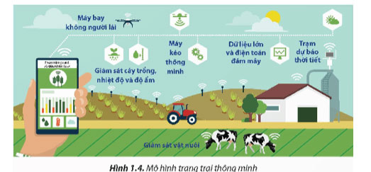 Mô hình nông nghiệp công nghệ cao