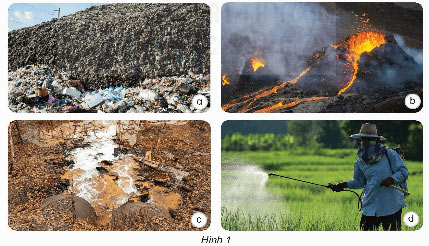 Khoa học lớp 5 Bài 2: Ô nhiễm, xói mòn đất và bảo vệ môi trường đất Giải Khoa học 5 Kết nối tri thức trang 9, 10, 11, 12, 13