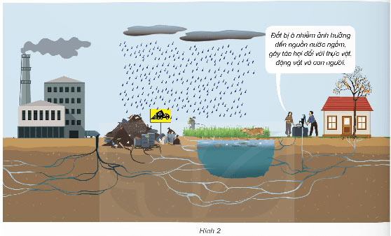 Ô nhiễm, xói mòn đất và bảo vệ môi trường đất
