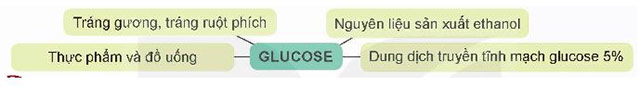 Giới thiệu về carbohydrate. Glucose và fructose