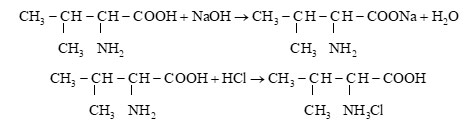 Phương trình hoá học