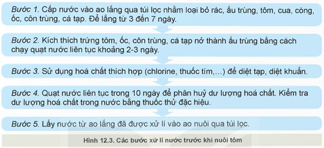 Công nghệ 12 Bài 12: Biện pháp xử lí môi trường nuôi thuỷ sản Giải Công nghệ 12 Lâm nghiệp – Thủy sản Kết nối tri thức trang 62, 63, 64