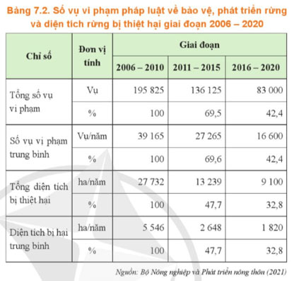 Thực trạng trồng, chăm sóc, bảo vệ và khai thác rừng