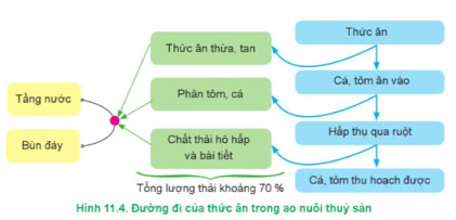 Công nghệ 12 Bài 11: Một số chỉ tiêu cơ bản của môi trường nuôi thuỷ sản Giải Công nghệ 12 Lâm nghiệp – Thủy sản Cánh diều trang 55 → 62