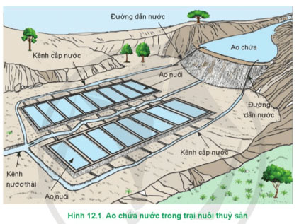 Công nghệ 12 Bài 12: Quản lí môi trường nuôi thuỷ sản Giải Công nghệ 12 Lâm nghiệp – Thủy sản Cánh diều trang 63 → 67