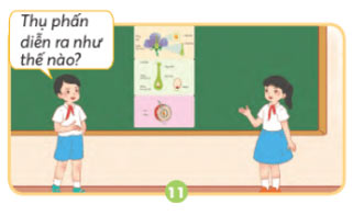 Sự sinh sản của thực vật có hoa