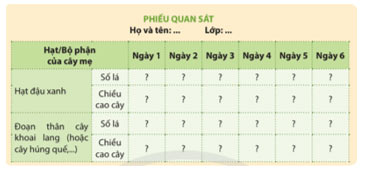 Sự lớn lên và phát triển của thực vật