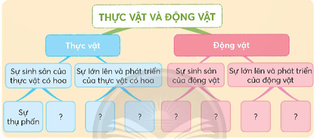 Ôn tập chủ đề Thực vật và động vật