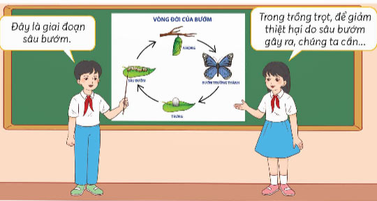 Ôn tập chủ đề Thực vật và động vật