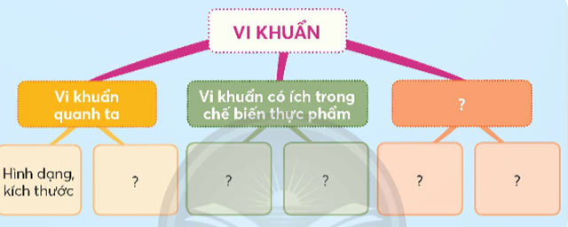 Khoa học lớp 5 Bài 21: Ôn tập chủ đề Vi khuẩn Giải Khoa học 5 Chân trời sáng tạo trang 74