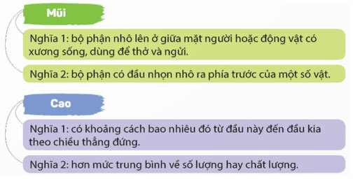 Luyện tập về từ đa nghĩa