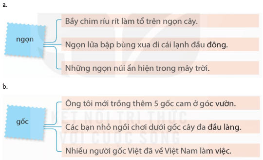 Ôn tập giữa học kì 1 Tiết 3, 4