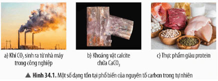 KHTN 9 Bài 34: Nguồn carbon. Chu trình carbon và sự ấm lên toàn cầu Giải KHTN 9 Chân trời sáng tạo trang 144, 145, 146, 147, 148