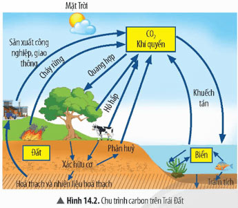 Nguồn carbon, chu trình carbon và sự ấm lên toàn cầu