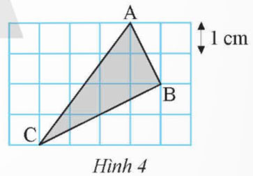 Hình 4