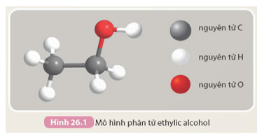 KHTN 9 Bài 26: Ethylic alcohol Giải KHTN 9 Kết nối tri thức trang 118, 119, 120, 121, 122