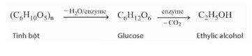 Ethylic alcohol