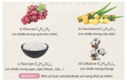 KHTN 9 Bài 29: Carbohydrate. Glucose và saccharose Giải KHTN 9 Kết nối tri thức trang 131, 132, 133, 134