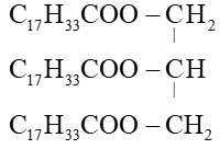 Lipid và chất béo