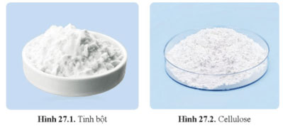 Tinh bột và cellulose