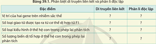 Di truyền liên kết và cơ chế xác định giới tính