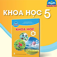 Giáo án Khoa học 5 sách Chân trời sáng tạo (Học kì 1)