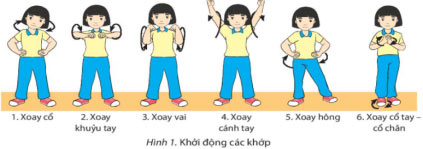 Giáo án Giáo dục thể chất 8 sách Chân trời sáng tạo Kế hoạch bài dạy môn GDTC 8