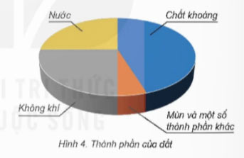 Giáo án Khoa học 5