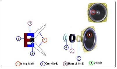 Lực từ, cảm ứng từ