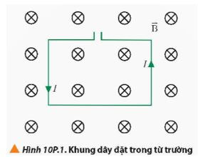 Lực từ, cảm ứng từ