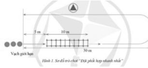 Giáo án Giáo dục thể chất 9 sách Cánh diều