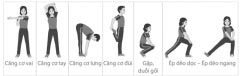 Giáo án Giáo dục thể chất 12