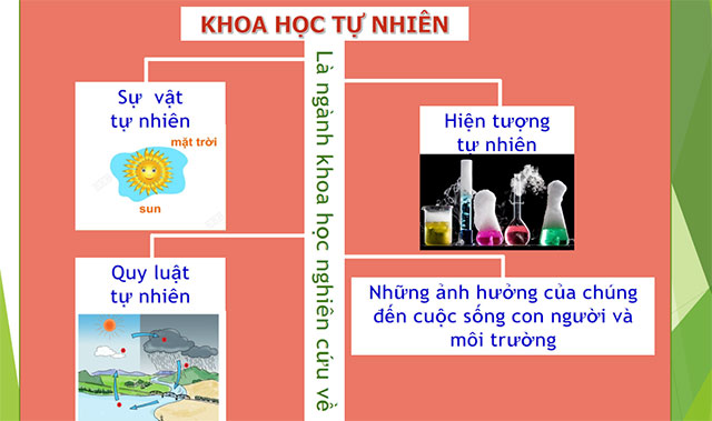 Giáo án PowerPoint Khoa học tự nhiên lớp 6