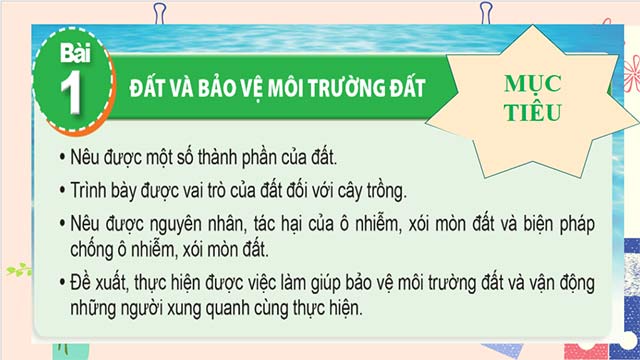 Giáo án PowerPoint Khoa học 5 Cánh diều