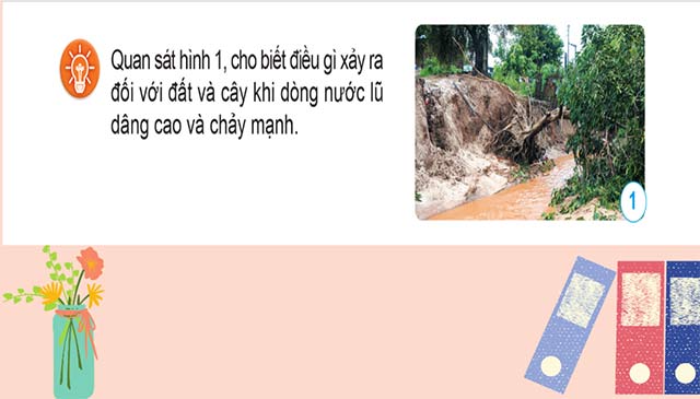 Giáo án PowerPoint Khoa học 5 Cánh diều