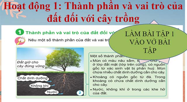 Giáo án PowerPoint Khoa học 5 Cánh diều