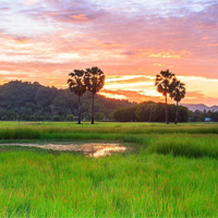 Văn mẫu lớp 10: Phân tích bài thơ Quê hương của Đỗ Trung Quân