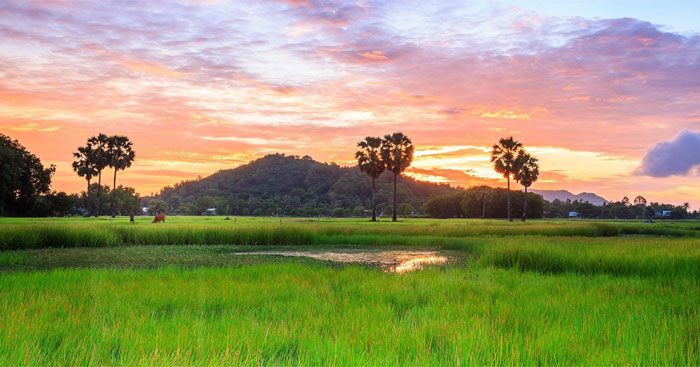 Quê hương của Đỗ Trung Quân