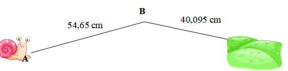 Toán lớp 5 Tuần 8