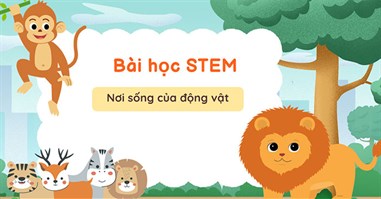 PowerPoint STEM Nơi sống của động vật