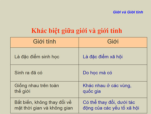 PowerPoint Bình đẳng giới