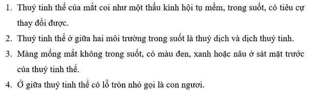 Cuộc thi chăm sóc mắt