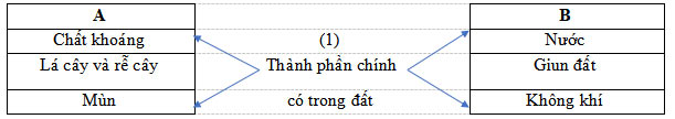 Đề cương ôn tập học kì 1 môn Khoa học 5 sách Kết nối tri thức với cuộc sống Ôn thi học kì 1 môn Khoa học lớp 5 năm 2024 – 2025