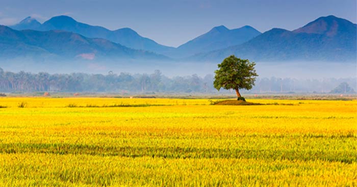 Những ngày mới của Thạch Lam